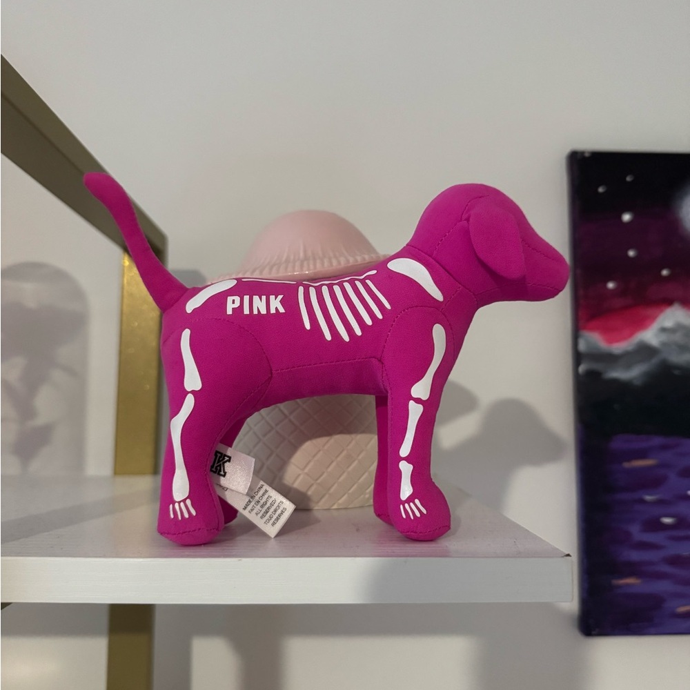 VS PINK DECOR